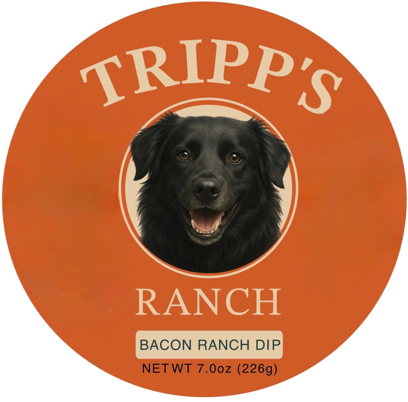 Cheddar Bacon Ranch Dip
